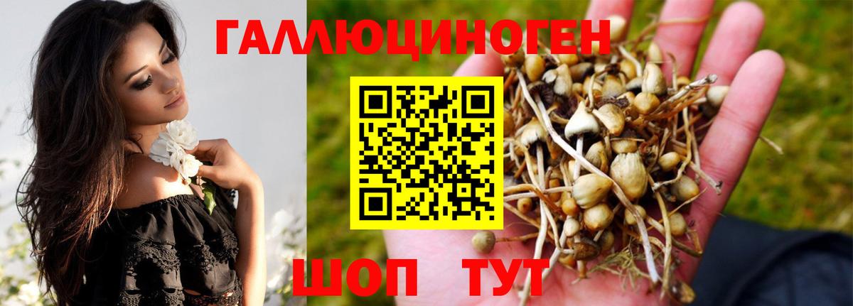 где продают наркотики  Вход с VPN  Новочебоксарск  Псилоцибиновые грибы мицелий 